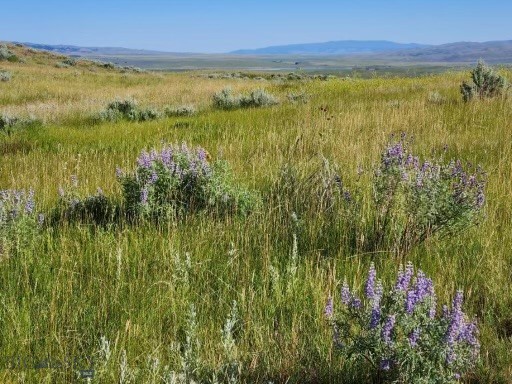 Tbd Old Flathead Creek Road-parcel A1 Property Photo 4