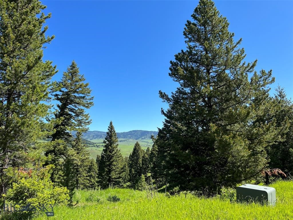 770 Mountain Moose Road Property Photo 37