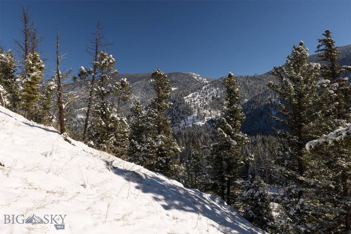 48295 Gallatin Road Property Photo 14