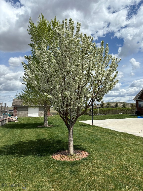 3 Windflower Property Photo 92