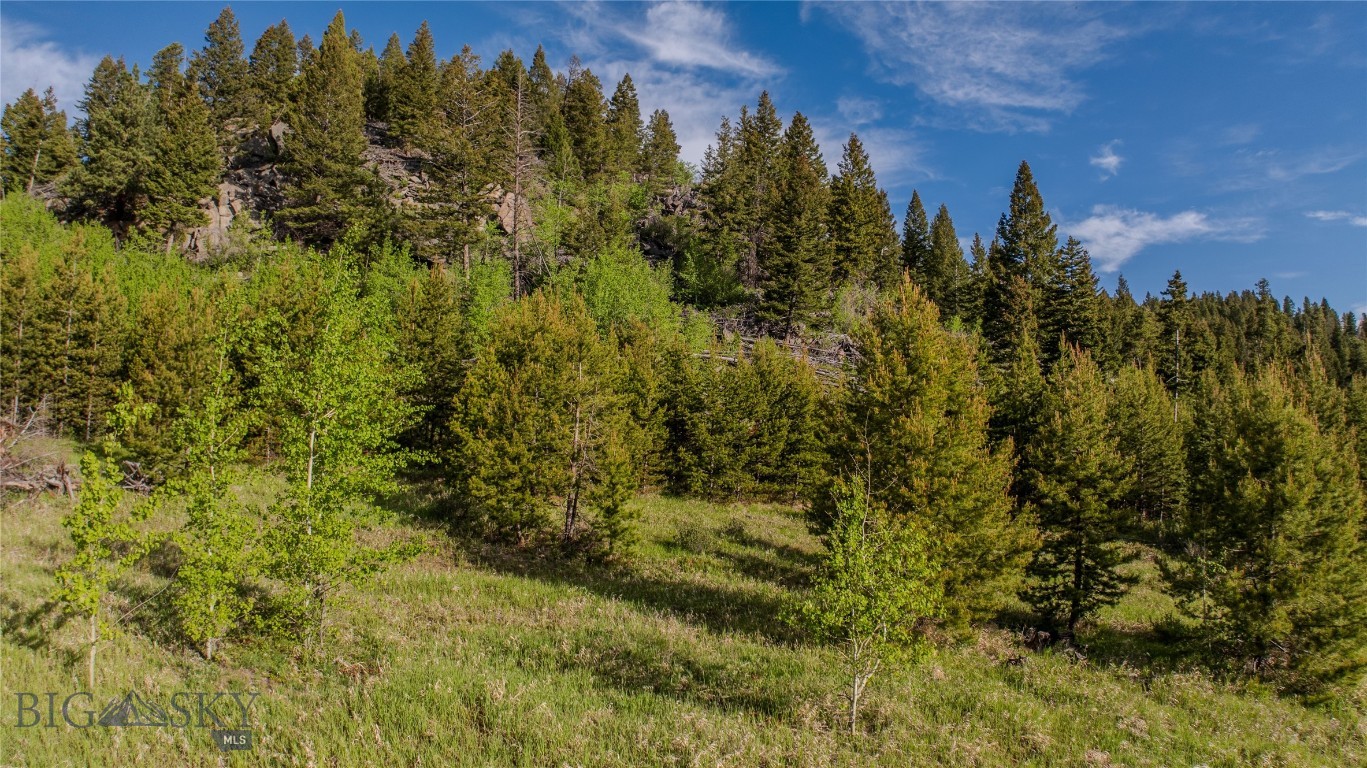 72 Big Indian Gulch Property Photo 13