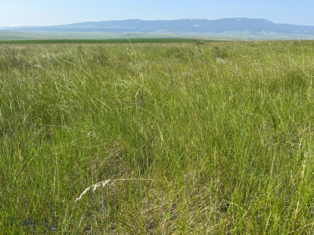 Tbd Ubet Road Property Photo 3