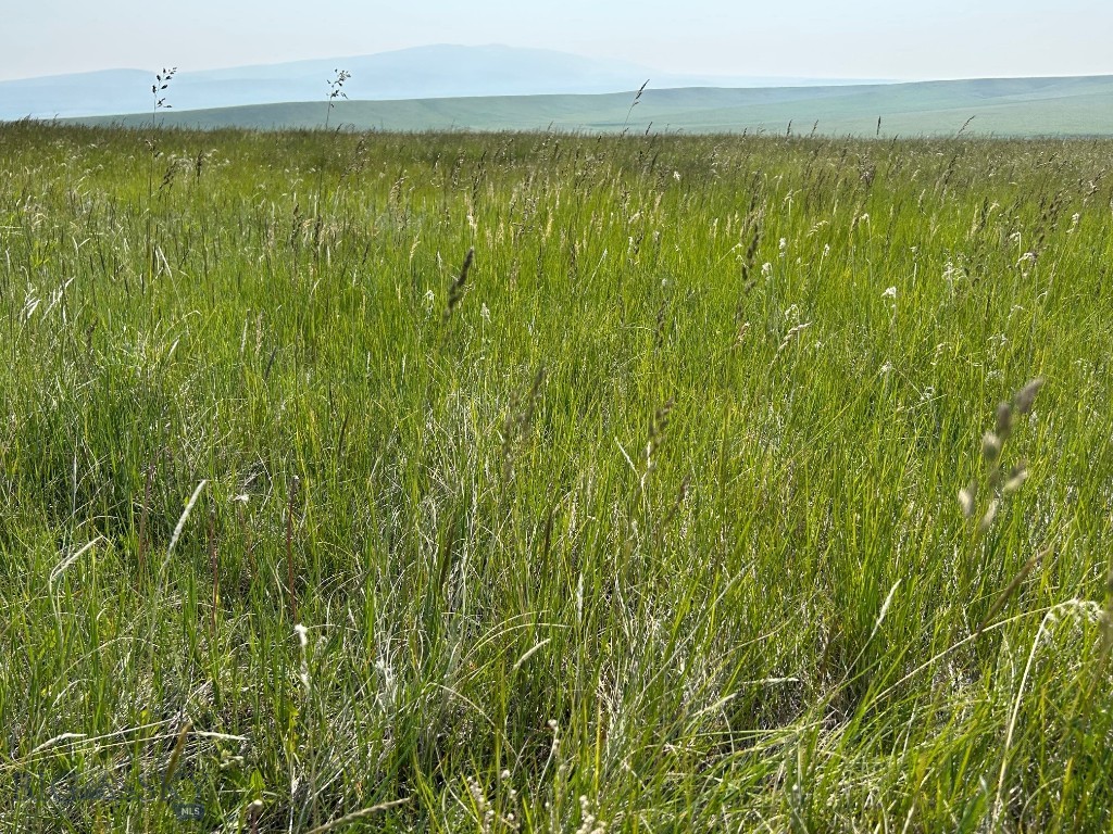 Tbd Ubet Road Property Photo 4