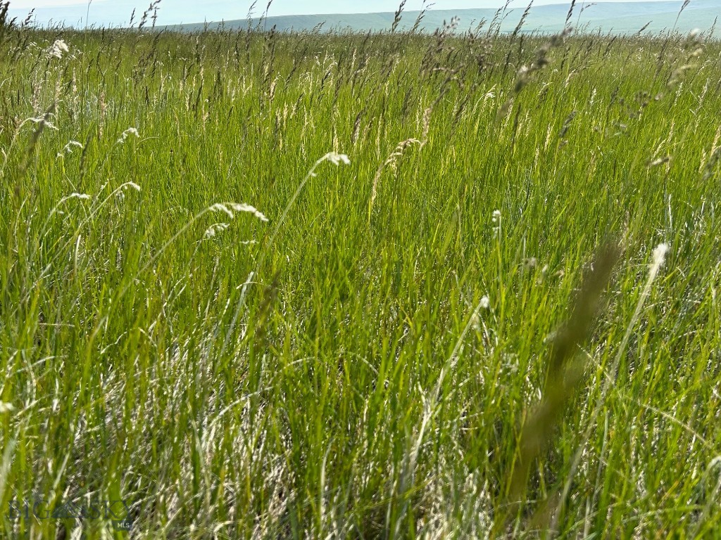 Tbd Ubet Road Property Photo 5