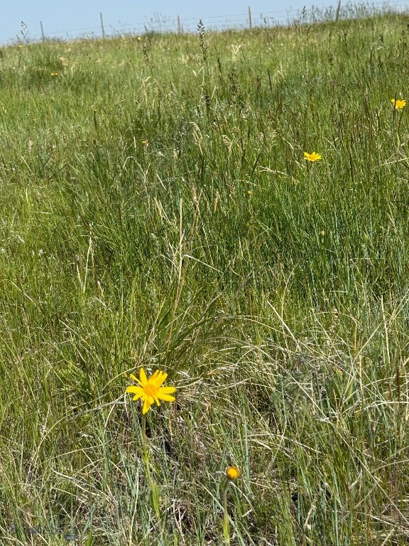 Tbd Ubet Road Property Photo 7