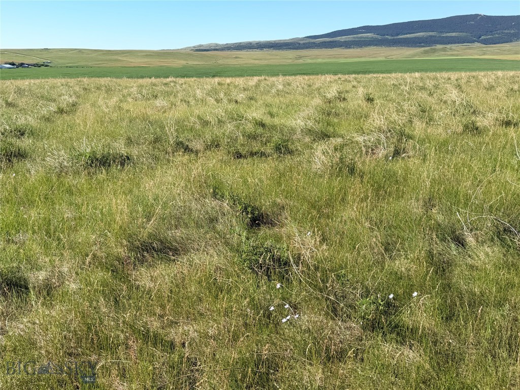 Tbd Ubet Road Property Photo 13