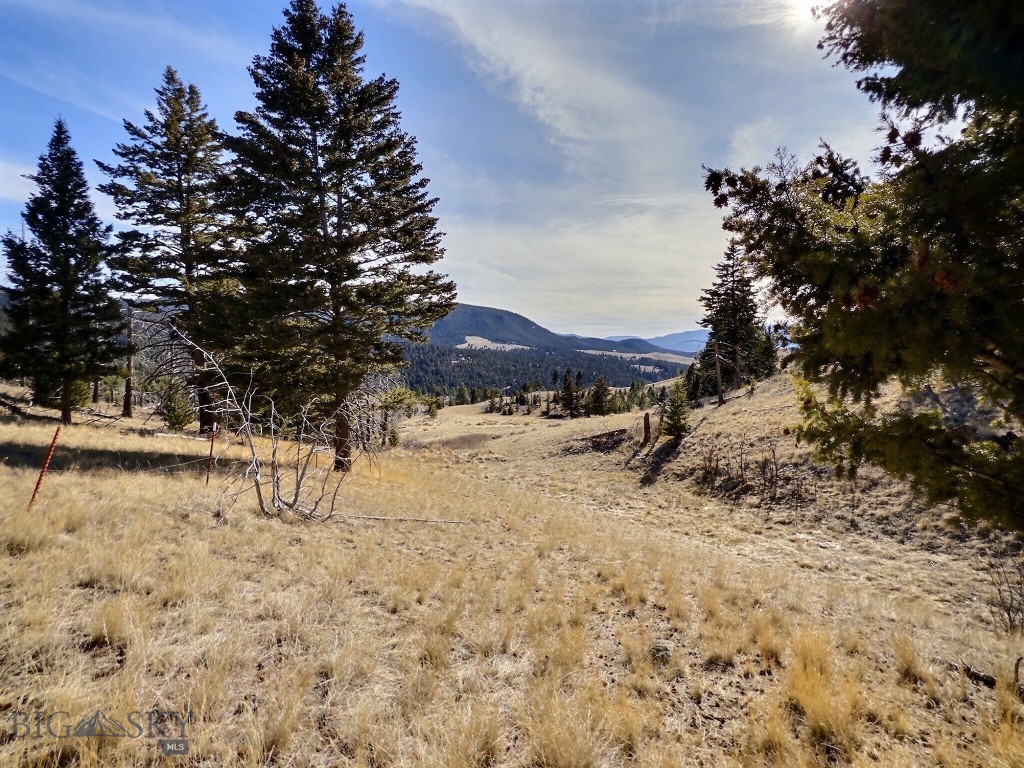 83 Nursery Creek Property Photo 12