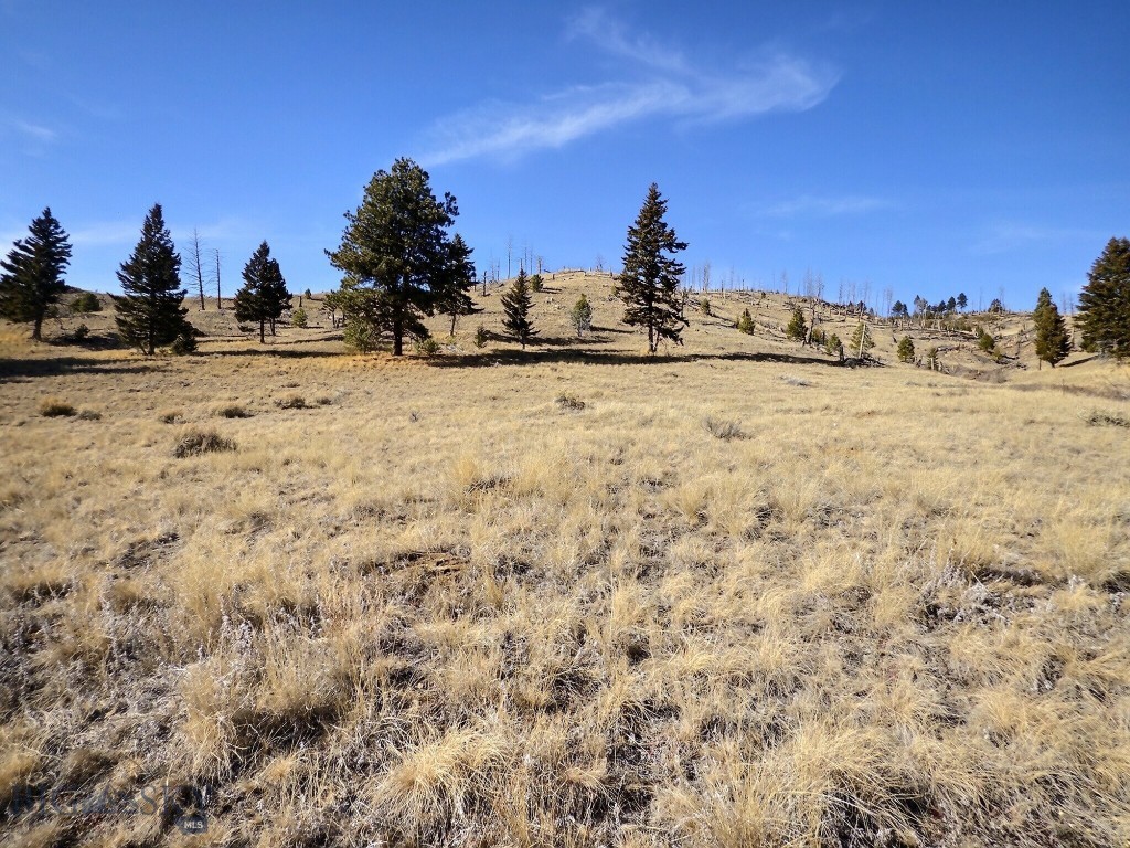 83 Nursery Creek Property Photo 14