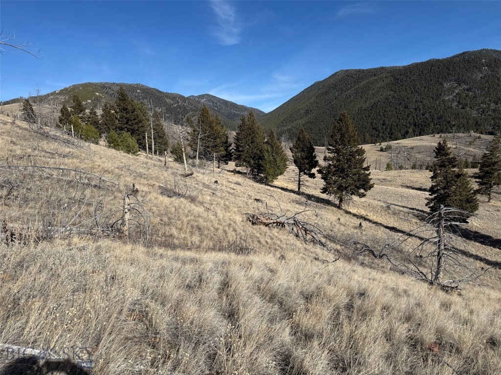 83 Nursery Creek Property Photo 40