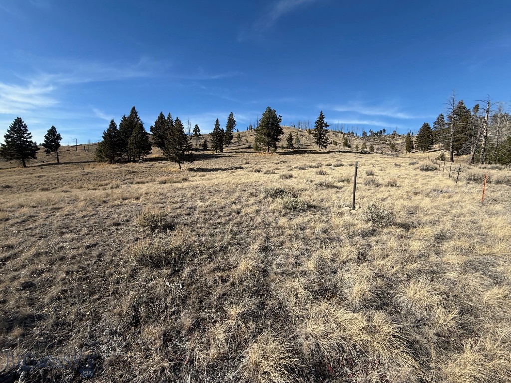 83 Nursery Creek Property Photo 43