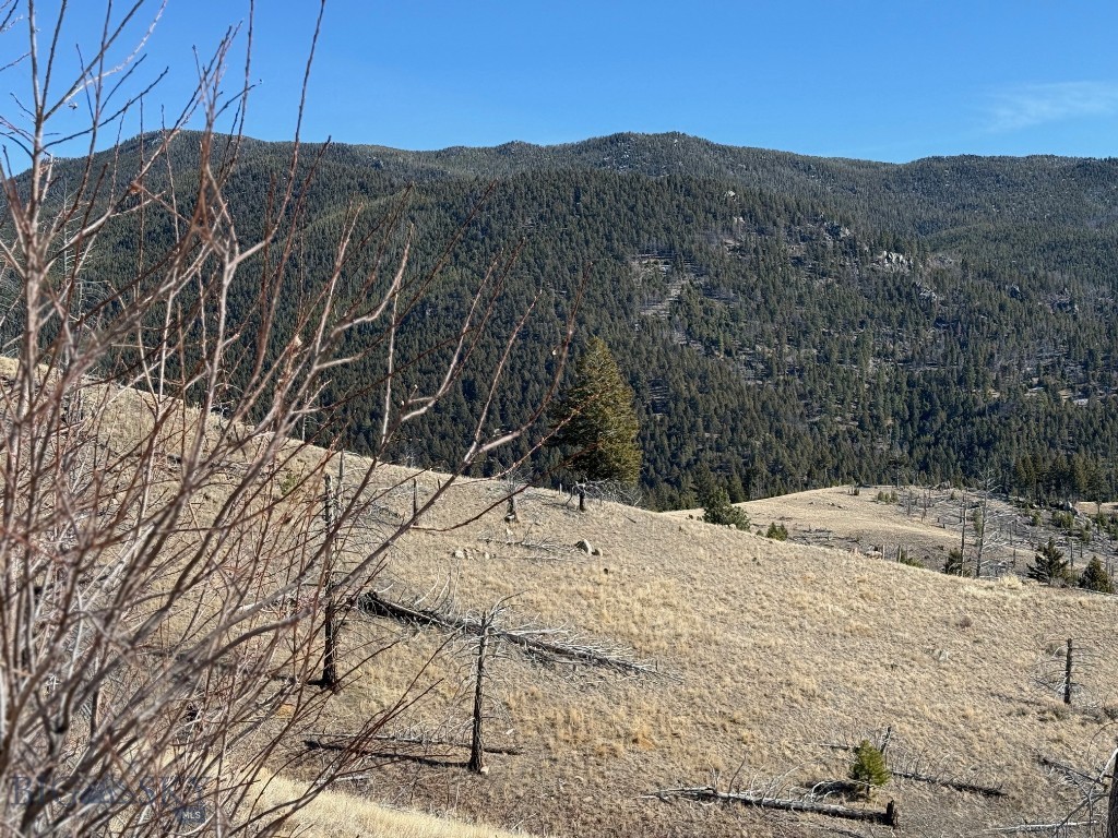 83 Nursery Creek Property Photo 49