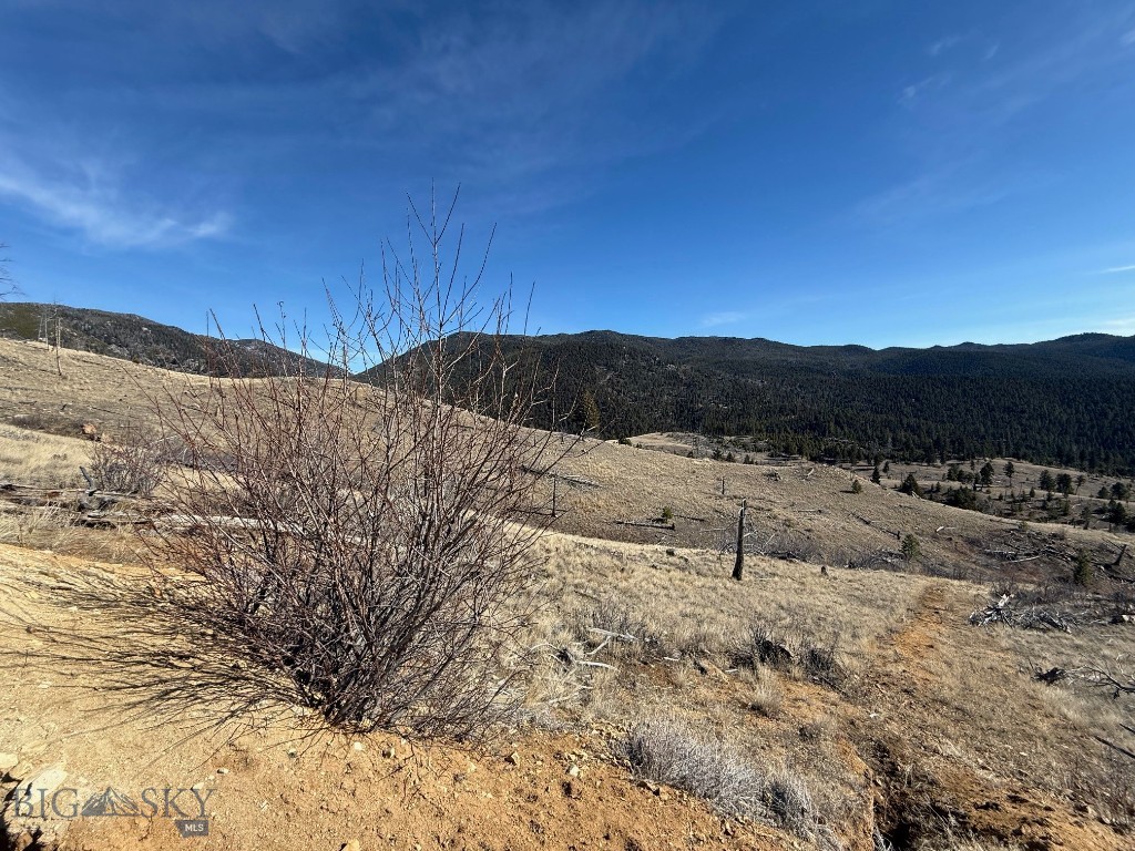 83 Nursery Creek Property Photo 52