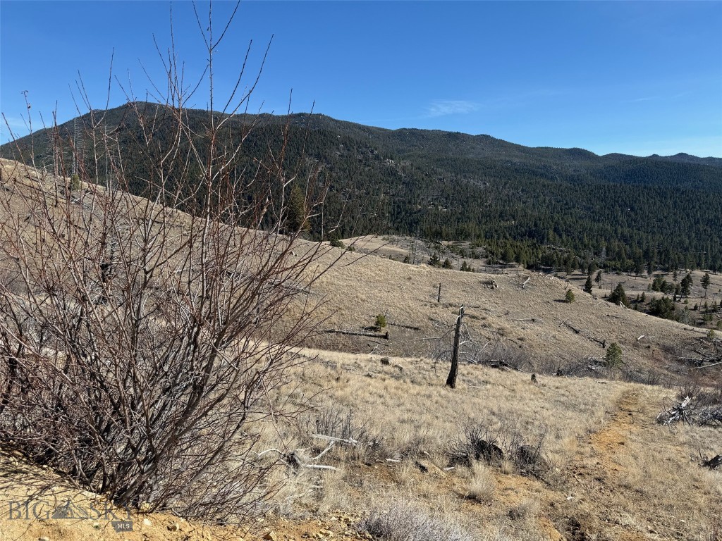 83 Nursery Creek Property Photo 53