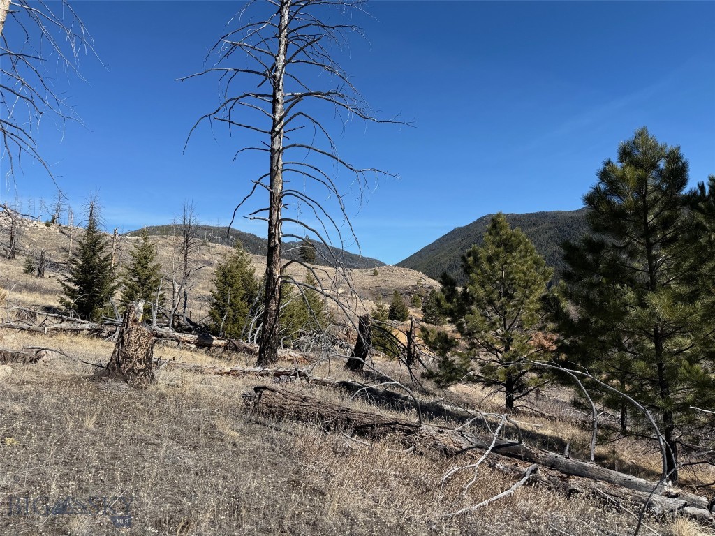 83 Nursery Creek Property Photo 59