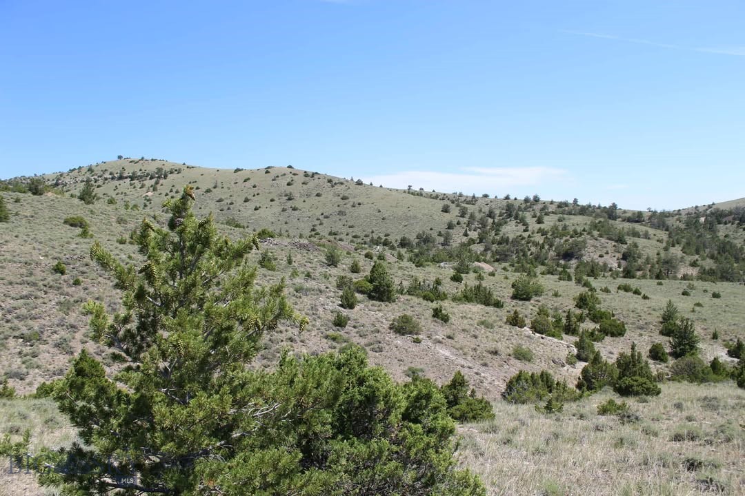 Tbd Silver Light Lode & Champion Lode Property Photo 4