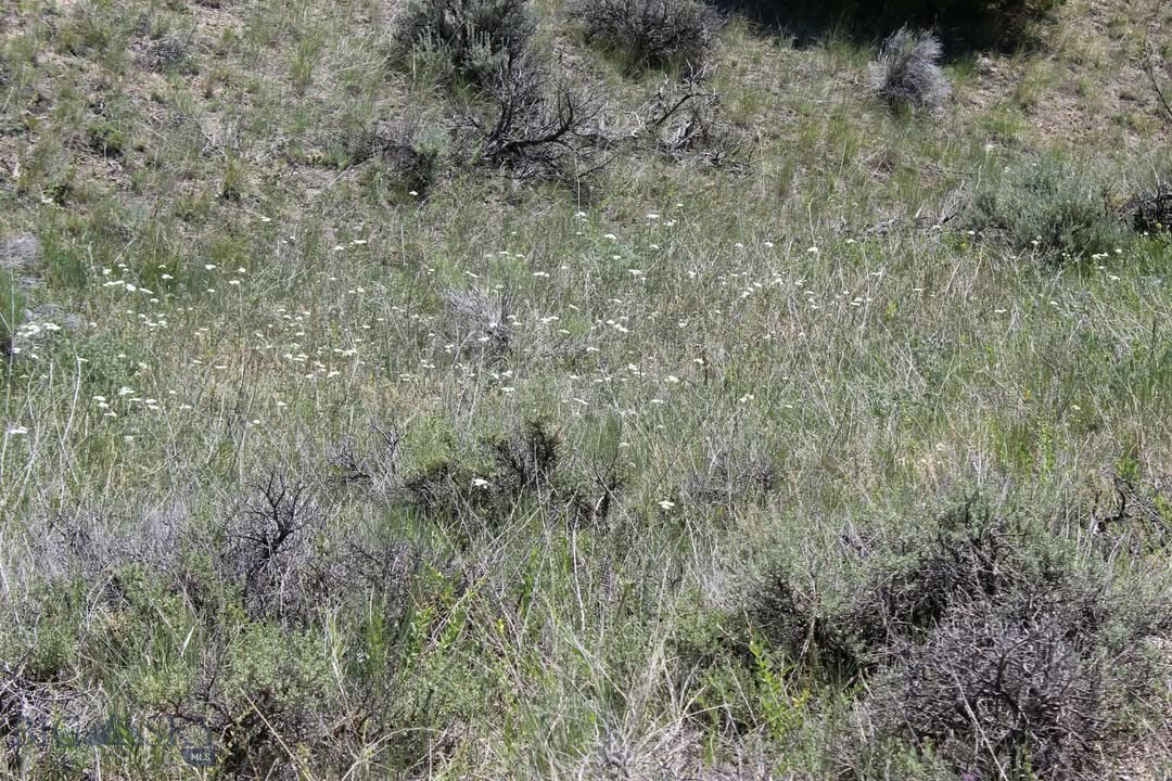 Tbd Silver Light Lode & Champion Lode Property Photo 5