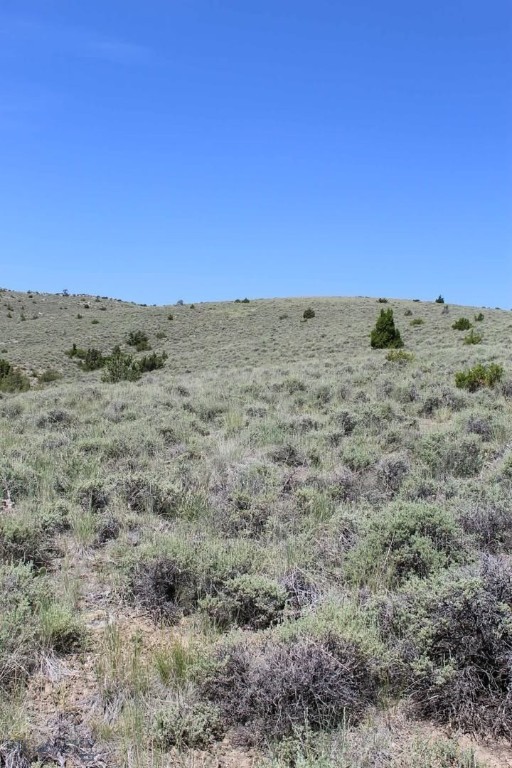 Tbd Silver Light Lode & Champion Lode Property Photo 7
