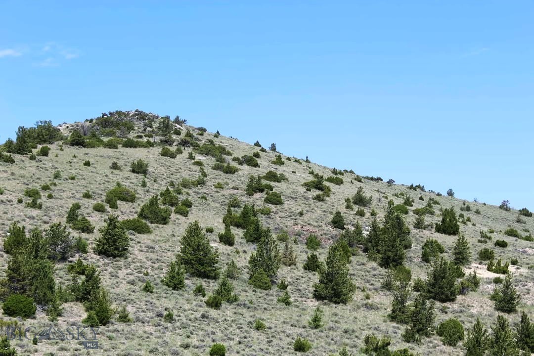 Tbd Silver Light Lode & Champion Lode Property Photo 8