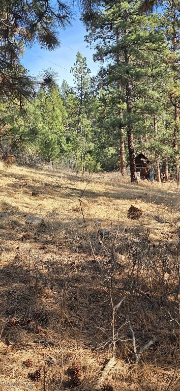 211 Warm Springs Creek Rd Property Photo 1
