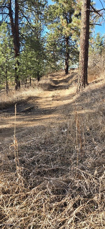 211 Warm Springs Creek Rd Property Photo 2