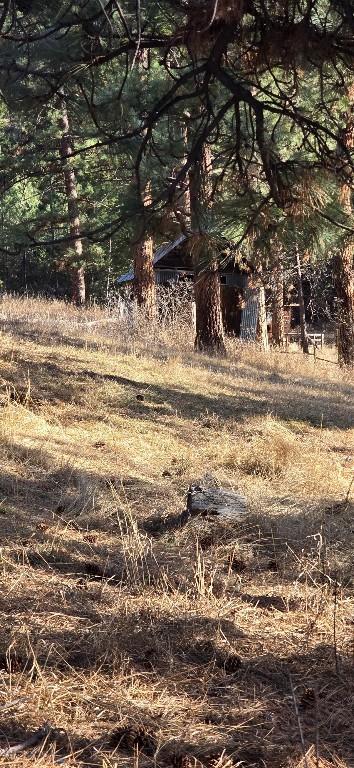 211 Warm Springs Creek Rd Property Photo 4