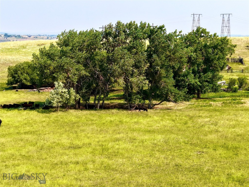 205 Ross Road Property Photo 6