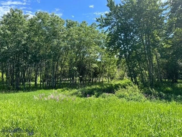 Tbd Spring Creek Drive Property Photo 1