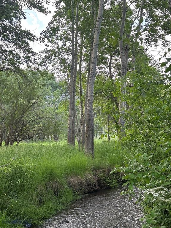 Tbd Spring Creek Drive Property Photo 2