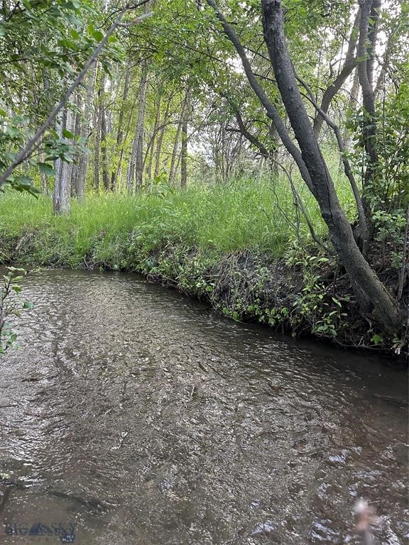 Tbd Spring Creek Drive Property Photo 4
