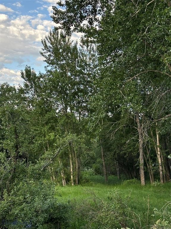 Tbd Spring Creek Drive Property Photo 5