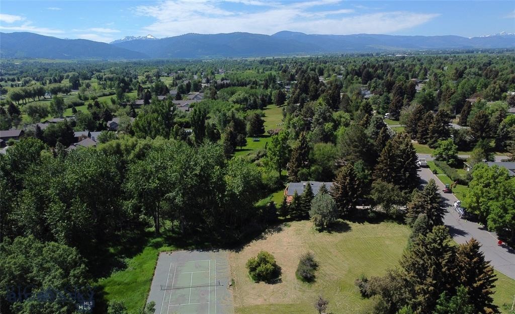 Tbd Spring Creek Drive Property Photo 8