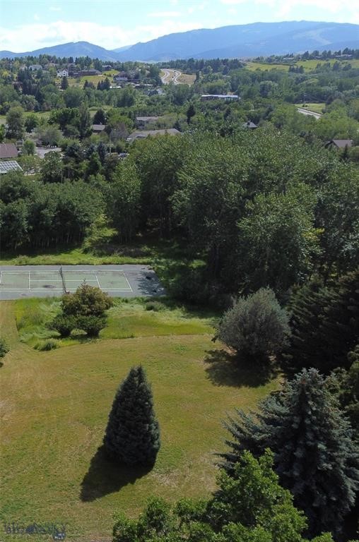 Tbd Spring Creek Drive Property Photo 9