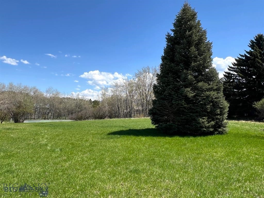 Tbd Spring Creek Drive Property Photo 14