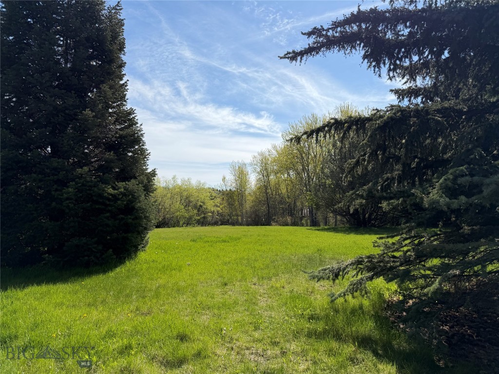 Tbd Spring Creek Drive Property Photo 15