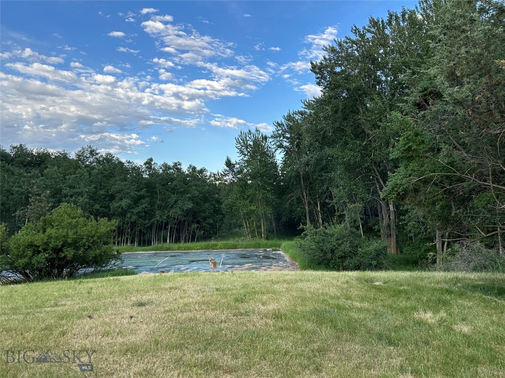 Tbd Spring Creek Drive Property Photo 16