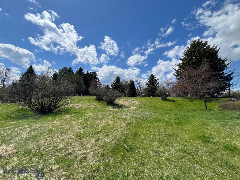 Tbd Spring Creek Drive Property Photo 17