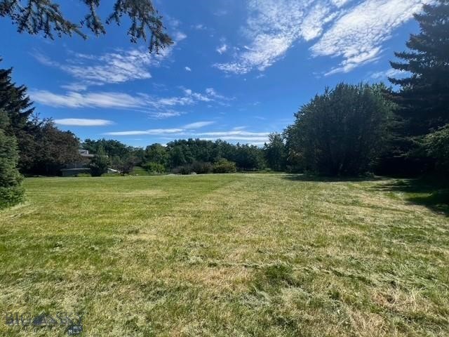 Tbd Spring Creek Drive Property Photo 18