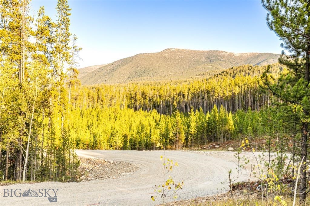 Tbd Lot #6 Herring Flats Road Property Photo 6