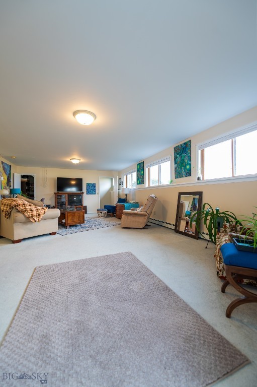 46 Tuke Lane Property Photo 42
