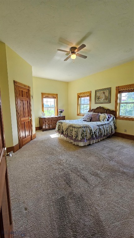 6310 W Dry Creek Road Property Photo 31