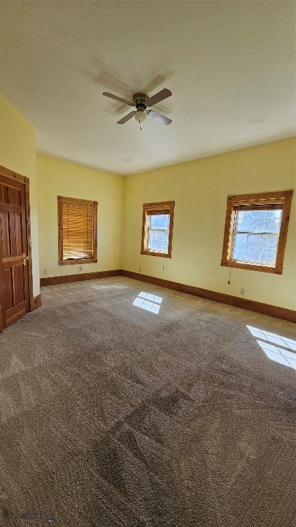 6310 W Dry Creek Road Property Photo 82