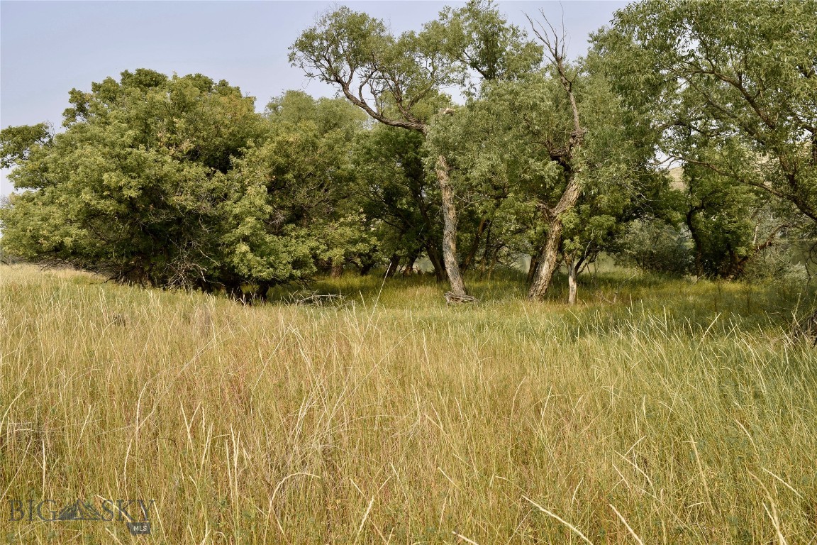167 Dune Drive Property Photo 18