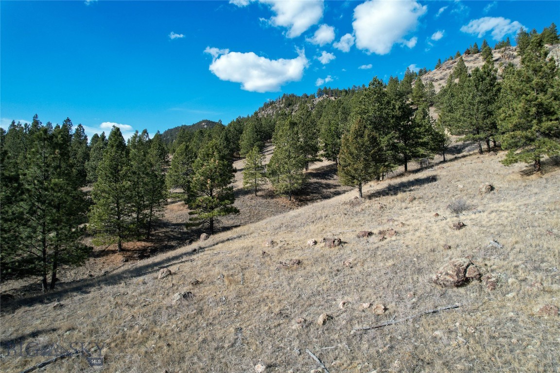 Tract A-2 Clancy Creek Road Property Photo 15