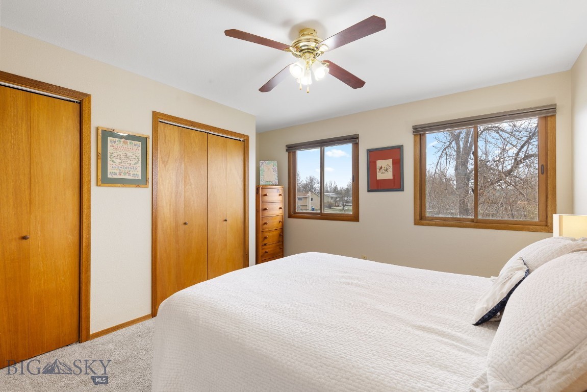 17 Chestnut Grove 17 Property Photo 19