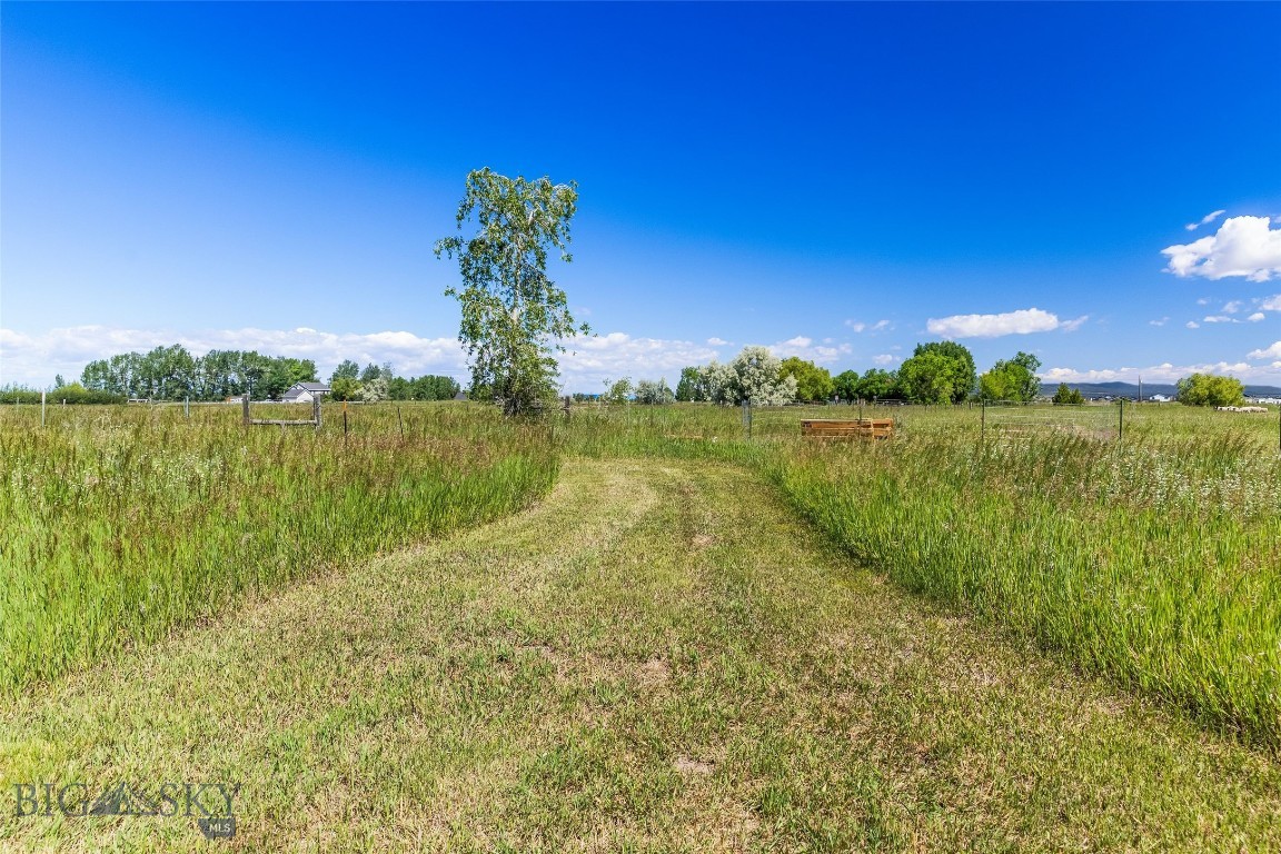 409901 Property Photo 6