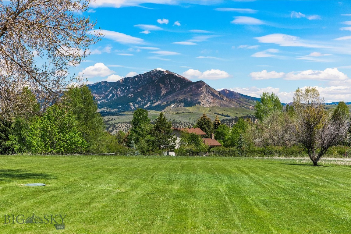 220 Ridge Trail Property Photo 41