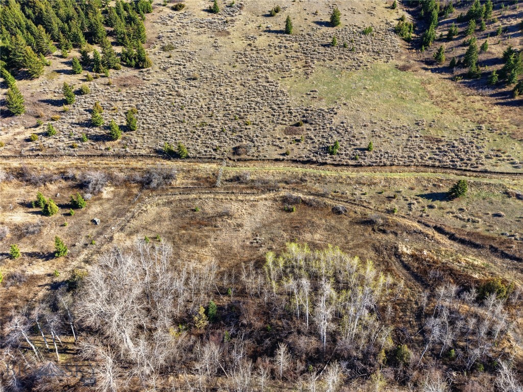 Tbd Pony Original Townsite Property Photo 2