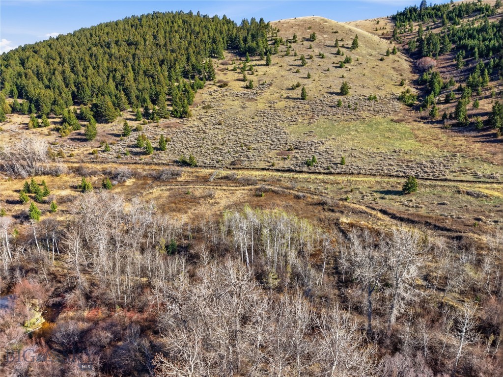 Tbd Pony Original Townsite Property Photo 12