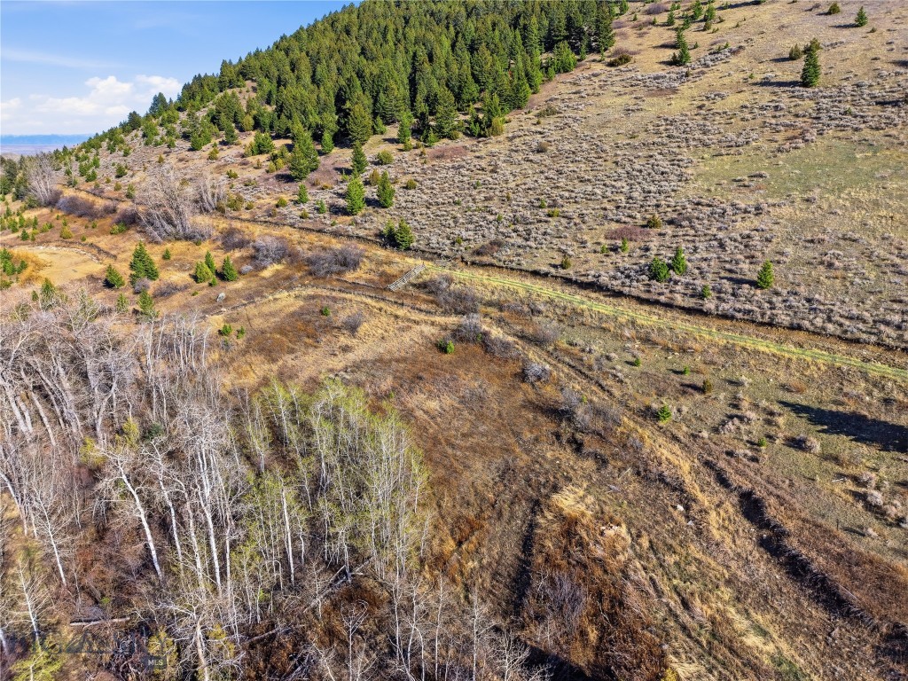 Tbd Pony Original Townsite Property Photo 13