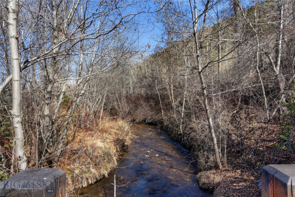 Tbd Pony Original Townsite Property Photo 22